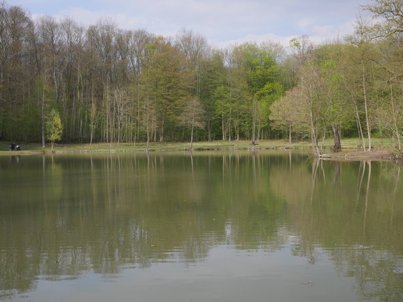 Baillet_en_France_2019